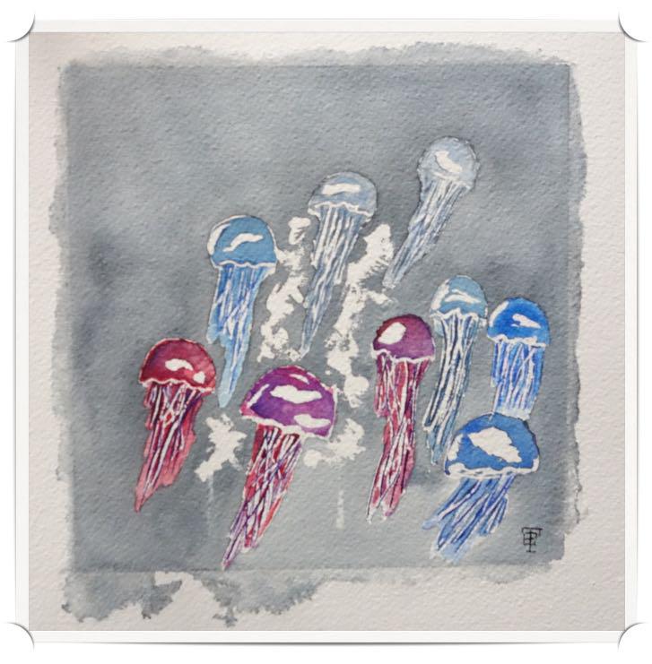 Méduses en ballade