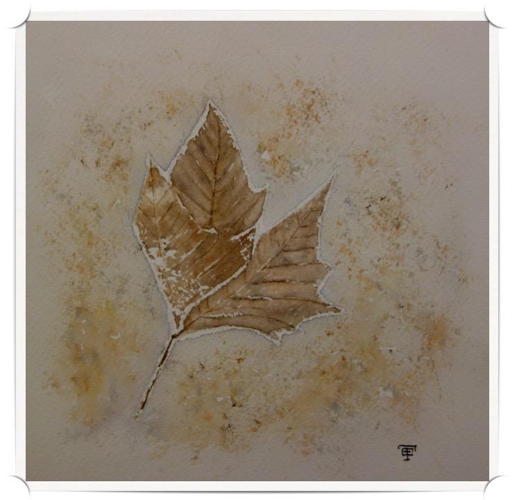La feuille givrée