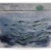 Amour entre mer et phytoplancton